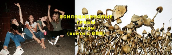 прущая мука Белоозёрский